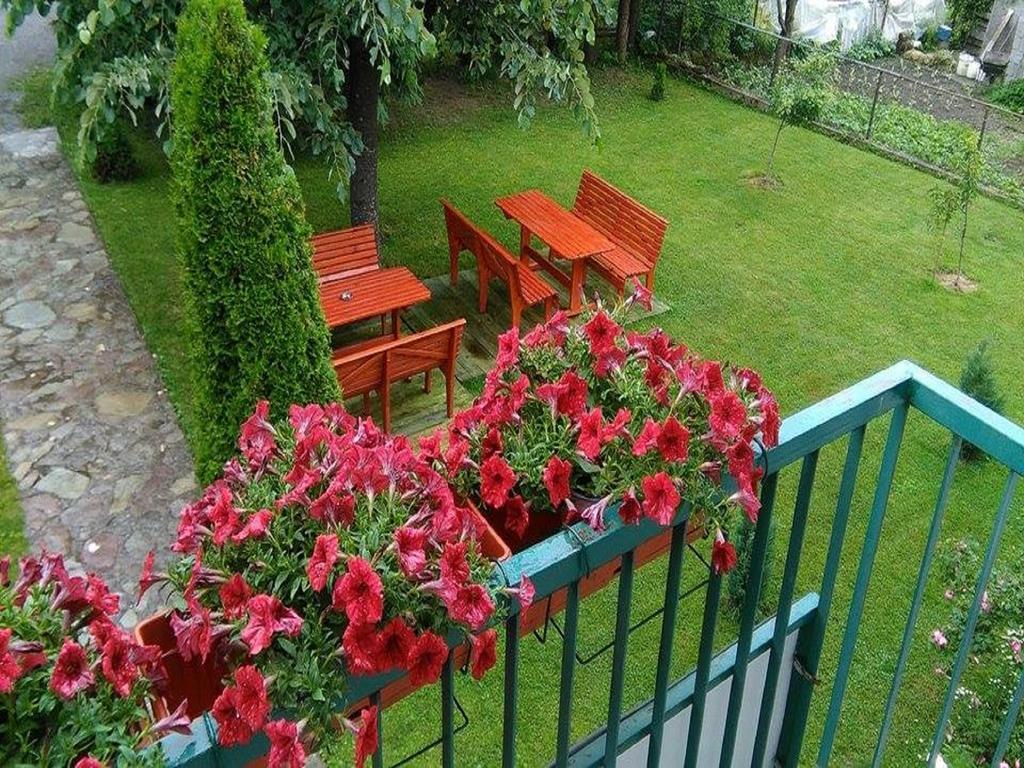 Apartments Radovic Kolašin Buitenkant foto